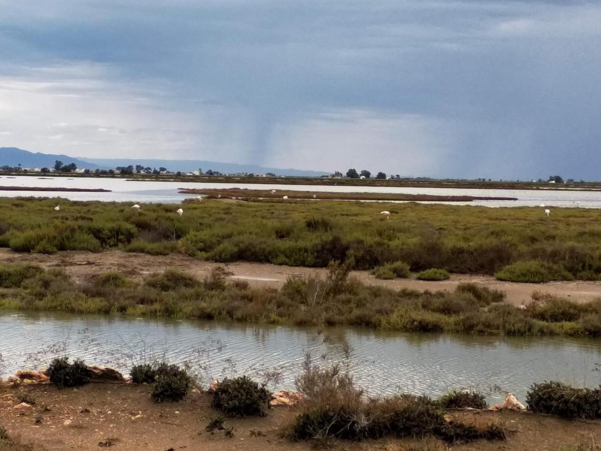 Apartamento Gelum Delta Del Ebro Sant Jaume d'Enveja Exteriér fotografie